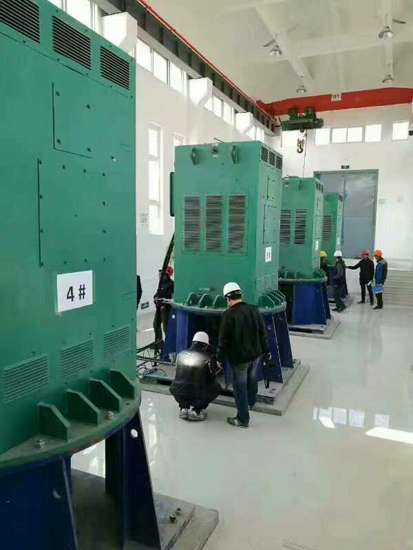 四川某污水处理厂使用我厂的立式高压电机安装现场