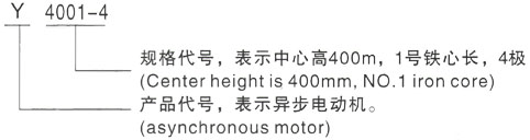 西安泰富西玛Y系列(H355-1000)高压四川三相异步电机型号说明